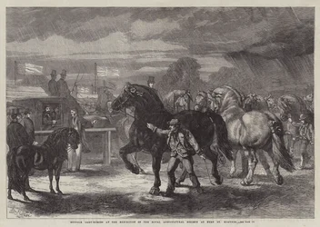 Caballos de tiro de Suffolk en la Exposición de la Sociedad Agrícola Real en Bury St Edmunds